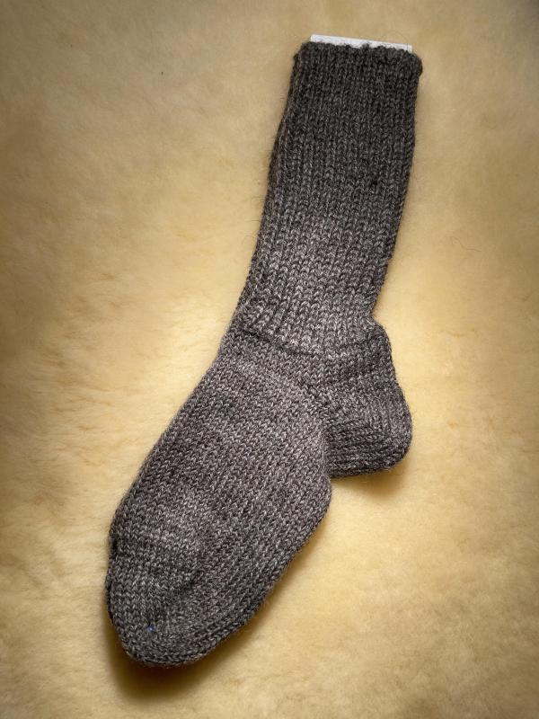 Öko-Socke - 100% Wolle